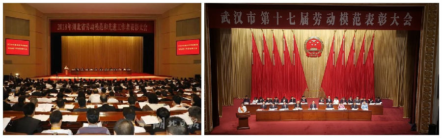 OB����.(�й�)�ٷ���վ